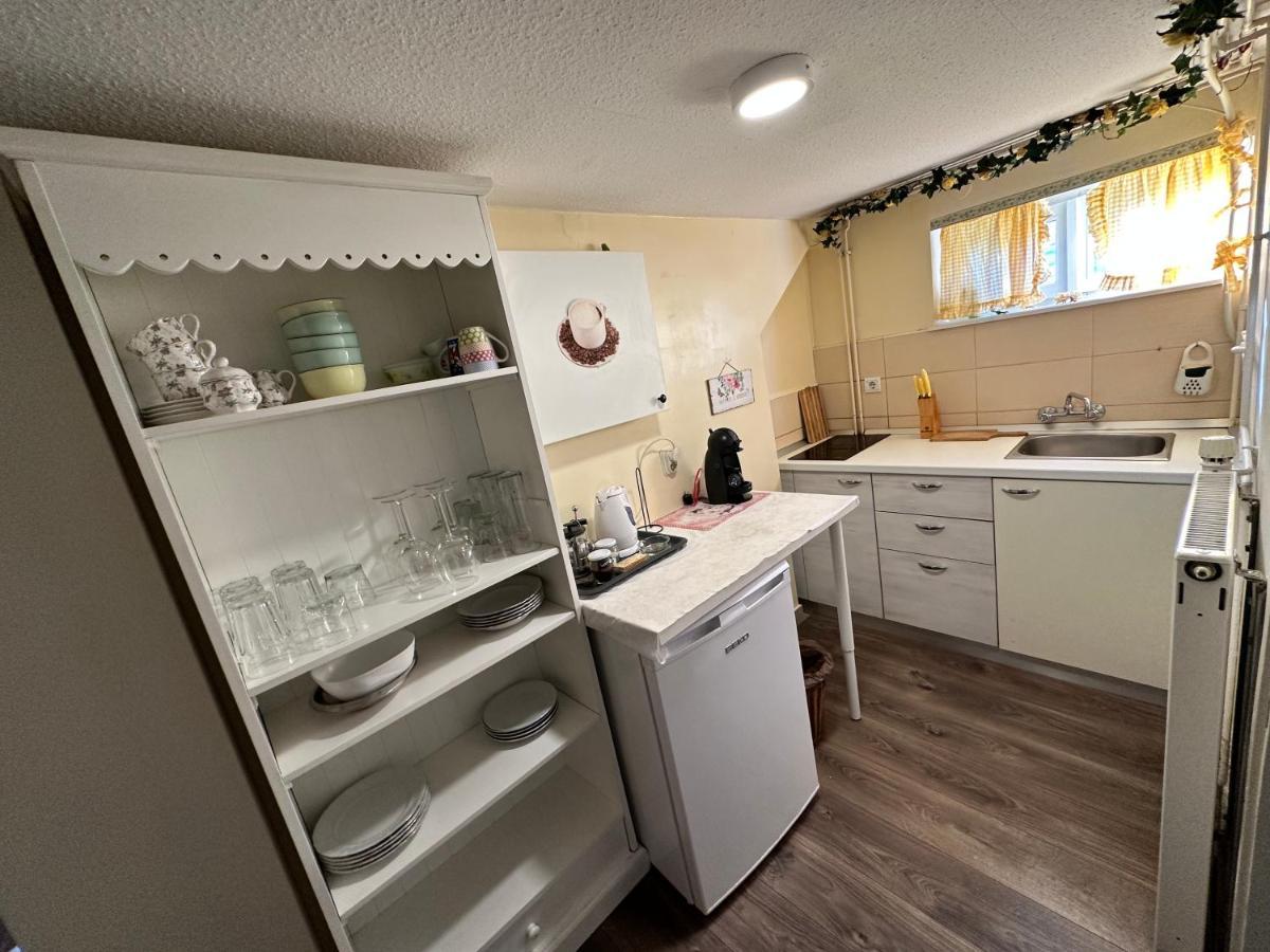 Apartments Magnolija - Zagreb Centre Zewnętrze zdjęcie